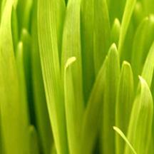 让业务更顺畅的手机版ddos攻击器